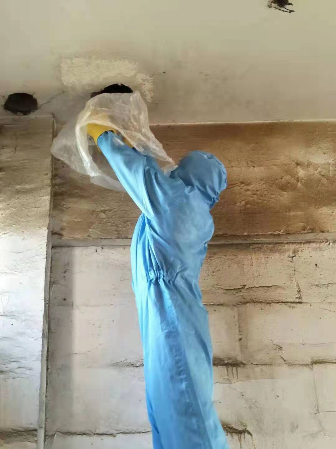 广安除虫